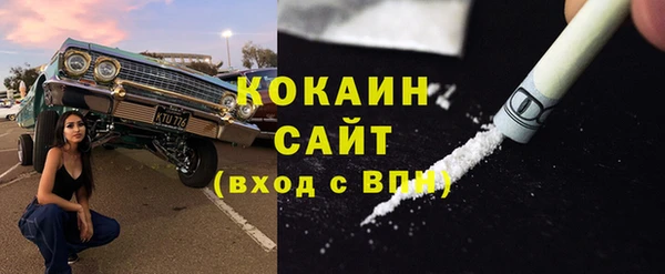 амф Горняк