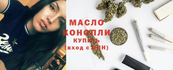 амф Горняк