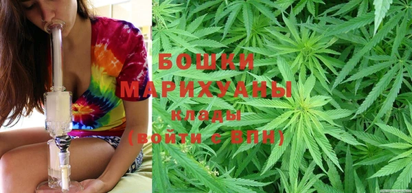 apvp Горнозаводск