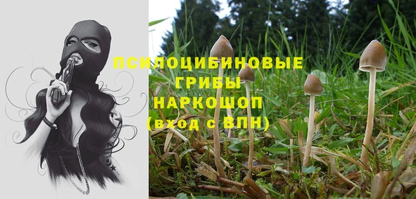 амф Горняк