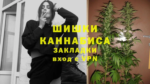 амф Горняк