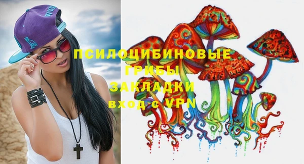амф Горняк