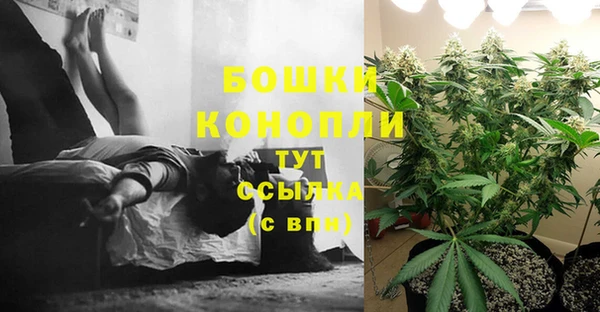амф Горняк