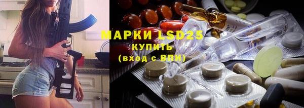 амф Горняк