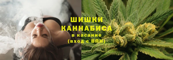 амф Горняк