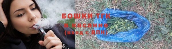 амф Горняк